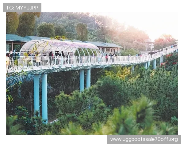 凯发网址app最新赛事资讯实时更新，掌握第一手体育赛事动态